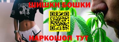 гидра Можга