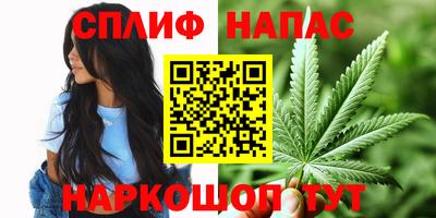 ешки Моздок