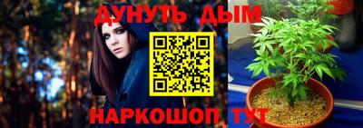 гидра Можга