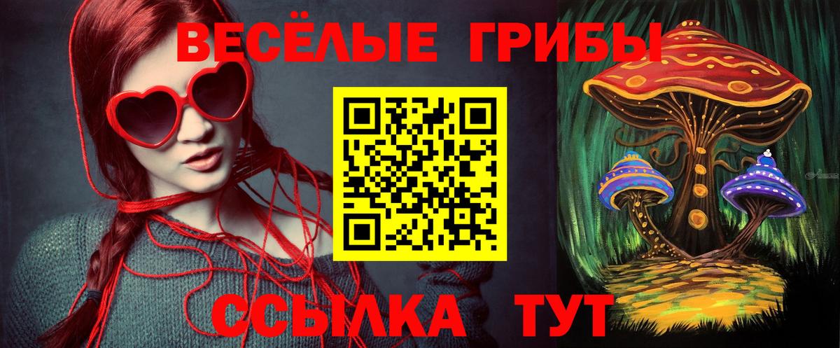 Псилоцибиновые грибы Psilocybine cubensis  что такое   Реутов  Вход с VPN  Галлюциногенные грибы мухоморы 