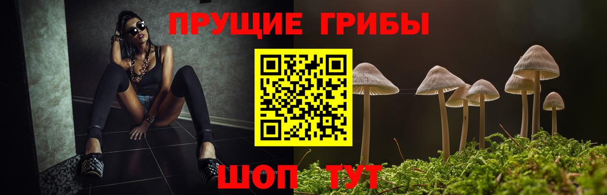 Псилоцибиновые грибы Magic Shrooms Реутов